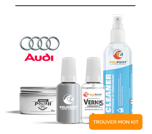 Trouver mon Kit Retouche pour Audi