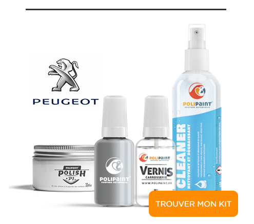 Trouver mon Kit Retouche pour Peugeot