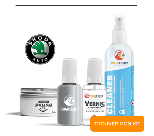 Trouver mon Kit Retouche pour Skoda